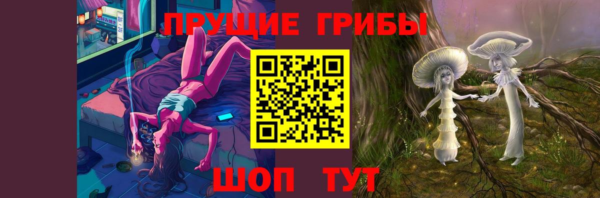 Кимовск  Галлюциногенные грибы прущие грибы  Вход с VPN 