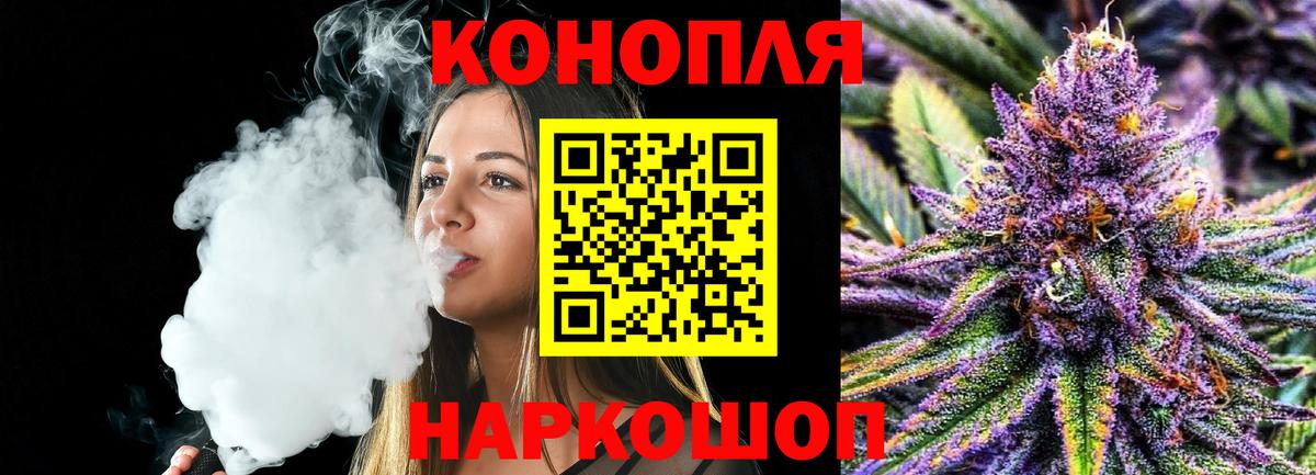 Бошки Шишки сатива  Бошки Шишки ГИДРОПОН  Вход с VPN  Кимовск 